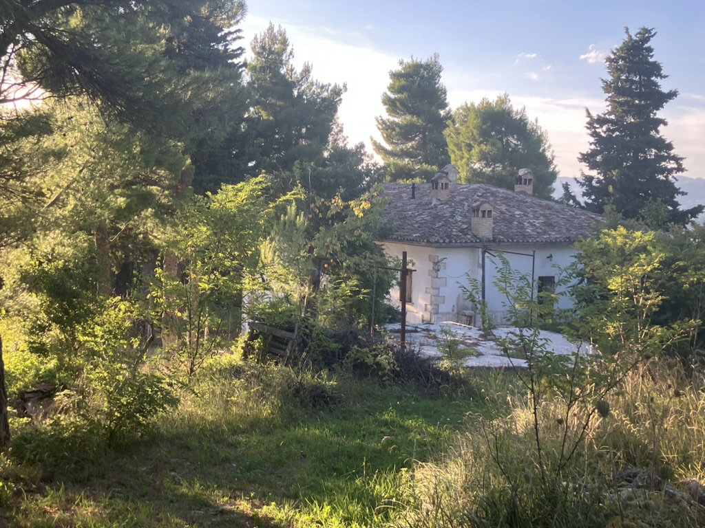 Casa Selva - Forest sanctuary