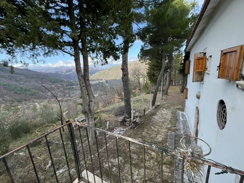 Casa Selva - Forest sanctuary 10