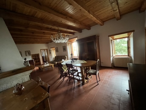 Casa Selva - Forest sanctuary 11