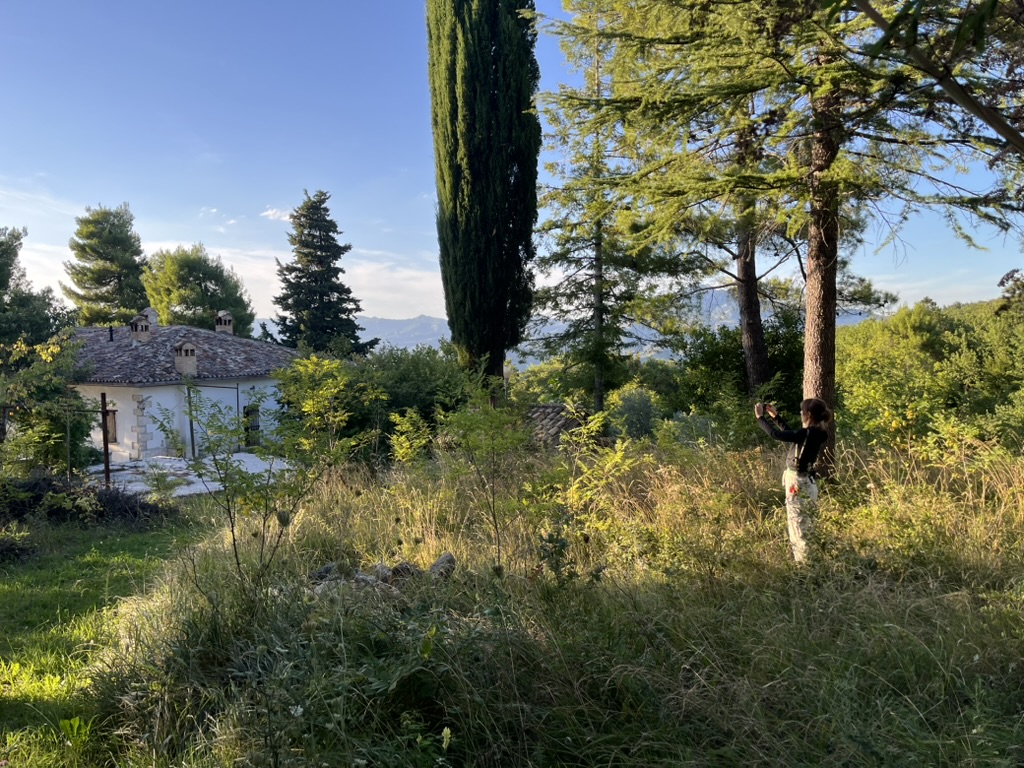 Casa Selva - Forest sanctuary 2