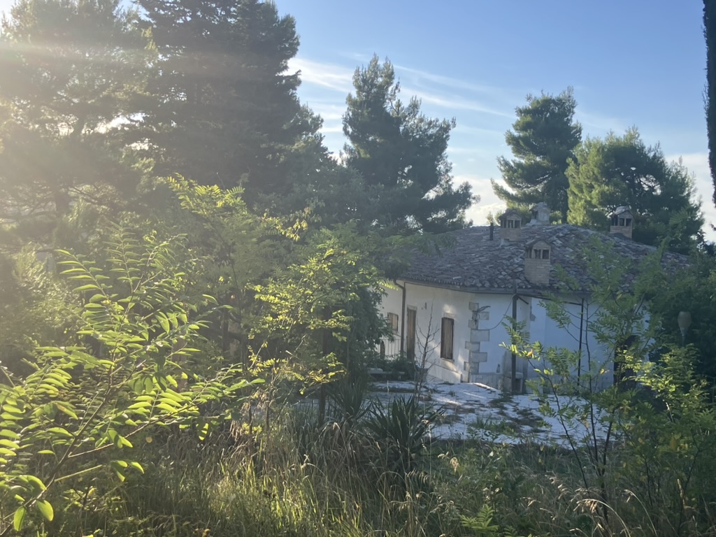 Casa Selva - Forest sanctuary 3