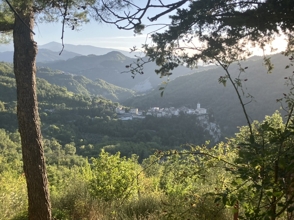 Casa Selva - Forest sanctuary 4