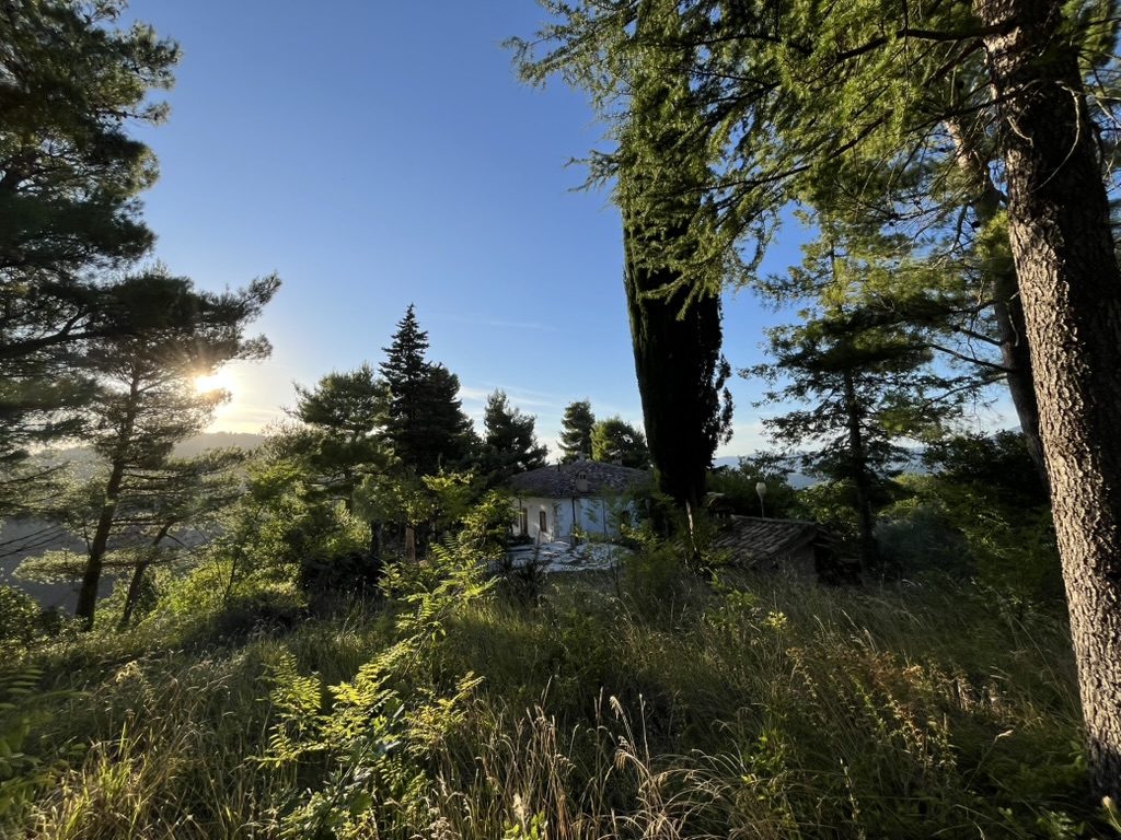 Casa Selva - Forest sanctuary 5