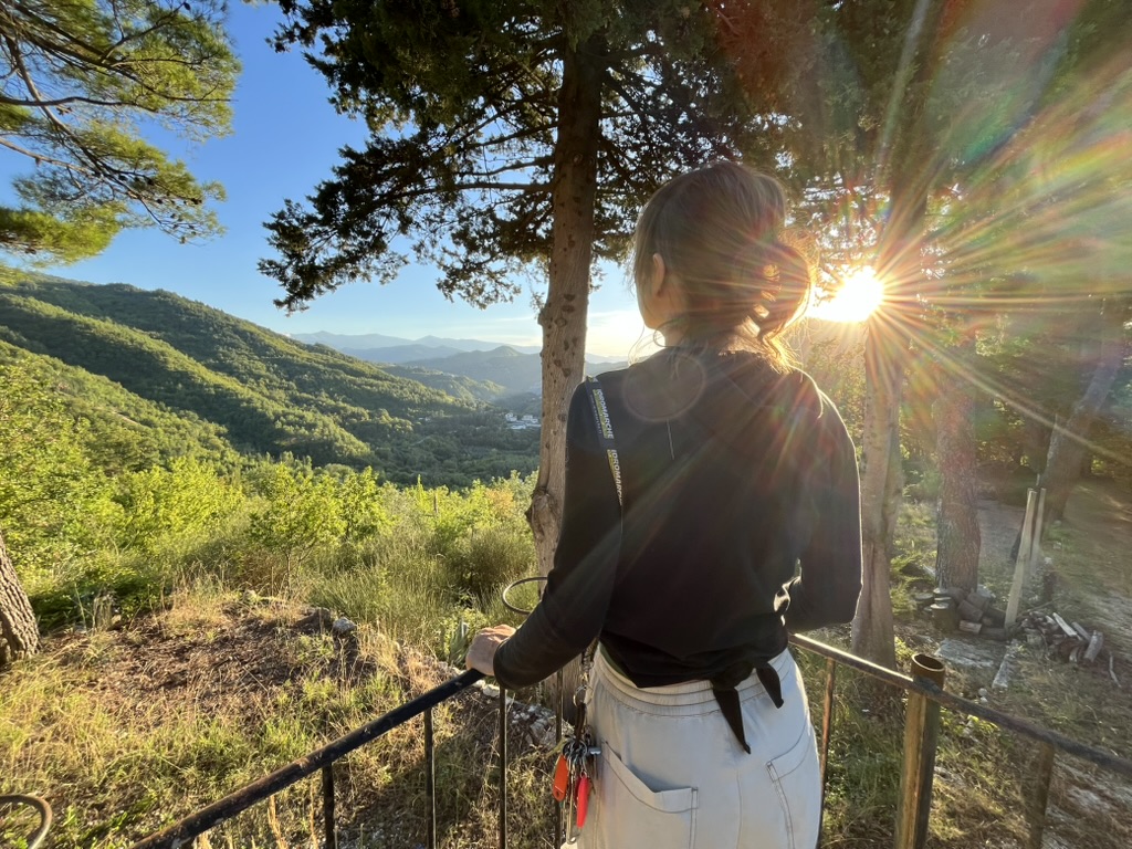 Casa Selva - Forest sanctuary 6