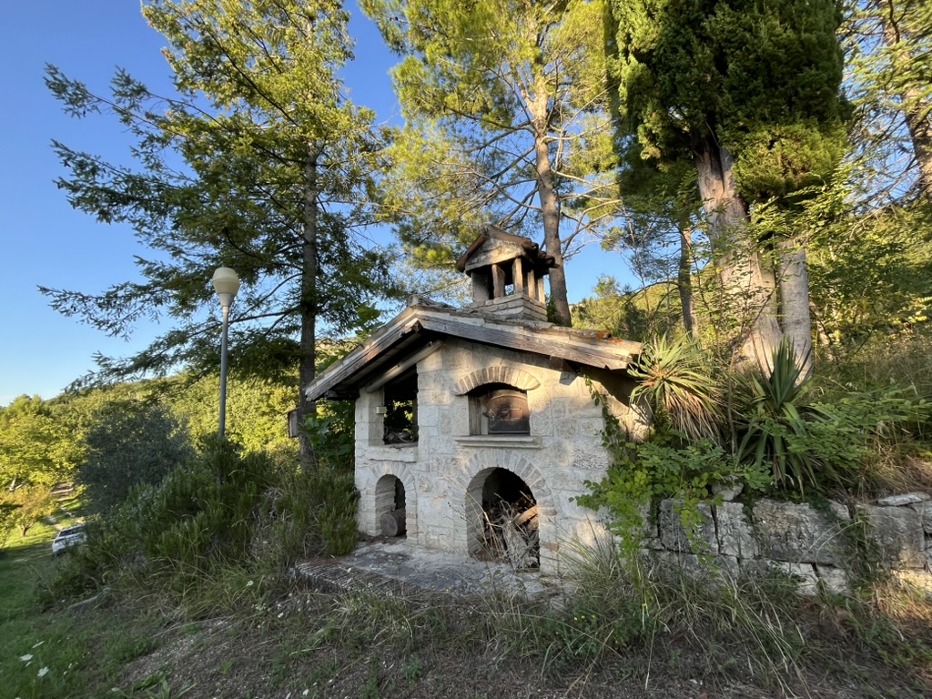 Casa Selva - Forest sanctuary 7