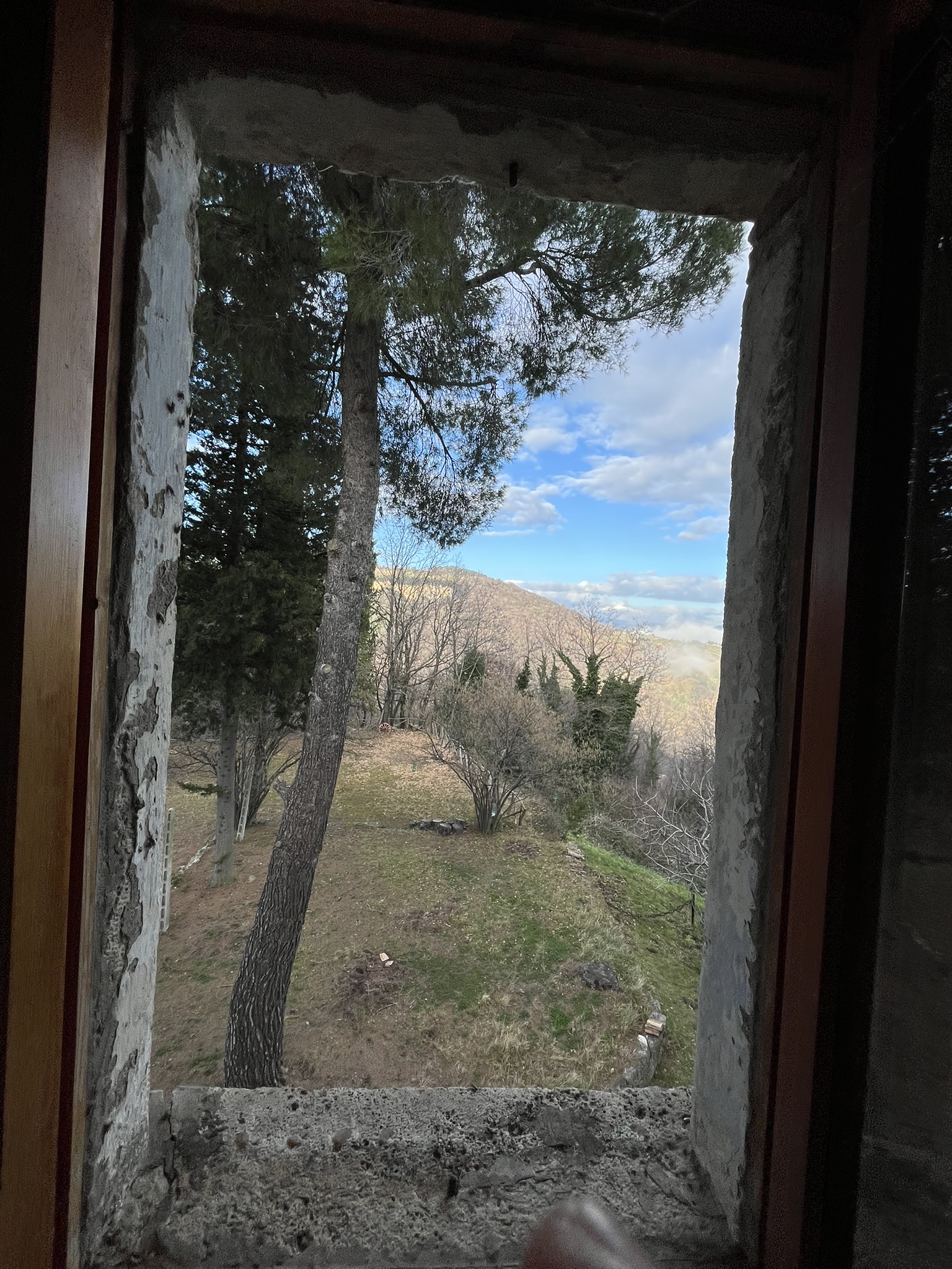 Casa Selva - Forest sanctuary 8