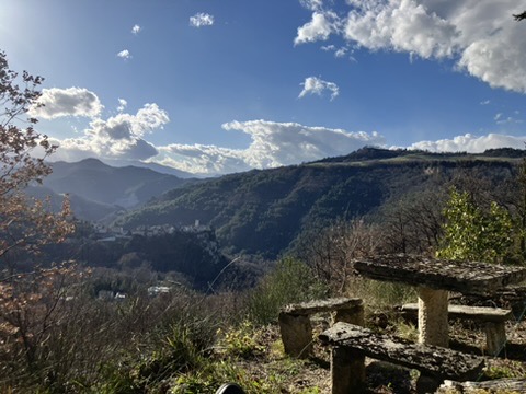 Casa Selva - Forest sanctuary 9