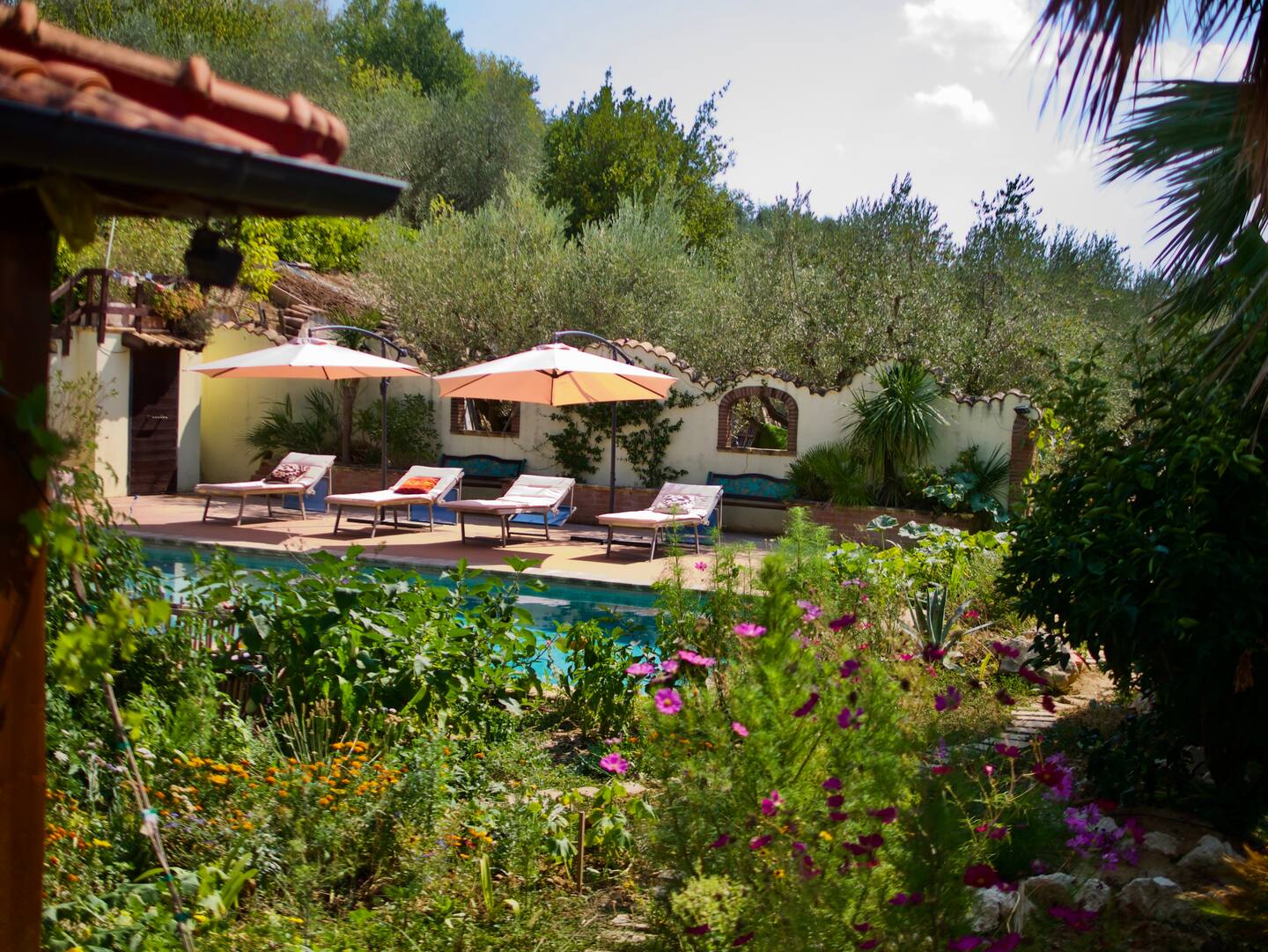 Liminal Village - Community transformation 2